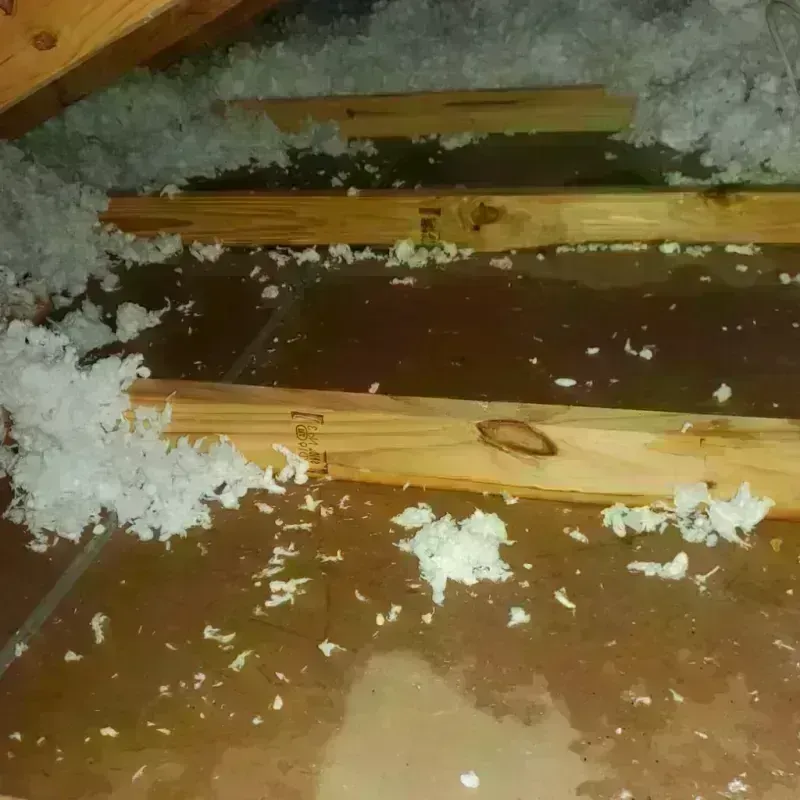 Attic Water Damage in Decatur County, IA